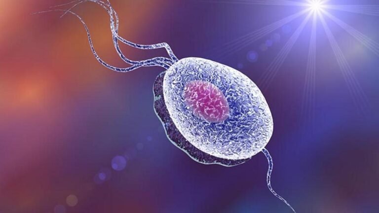 Identificación de Trichomonas vaginalis en el laboratorio clínico: pruebas diagnósticas e importancia clínica