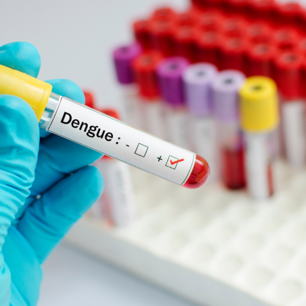 dengue