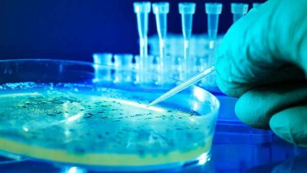 Avances en la Detección de Bacterias Multirresistentes en Hemocultivos